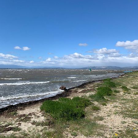 Appartement Vue Lac Marin Et Canigou Le Barcarès Εξωτερικό φωτογραφία